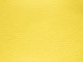 Pantone trend color of the Year 2021 Illuminating yellow. Texture Leather Bumpy Pattern Copy Space Design template