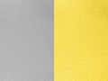 Pantone trend color of the Year 2021Illuminating yellow and Ultimate Grey. Texture Leather Bumpy Pattern Copy Space