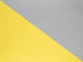 Pantone trend color of the Year 2021Illuminating yellow and Ultimate Grey. Texture Leather Bumpy Pattern Copy Space