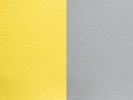 Pantone trend color of the Year 2021Illuminating yellow and Ultimate Grey. Texture Leather Bumpy Pattern Copy Space