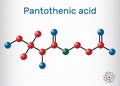 Pantothenic acid, vitamin B5, pantothenate molecule. Sheet of paper in a cage Royalty Free Stock Photo
