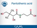 Pantothenic acid, vitamin B5, pantothenate molecule. Structural chemical formula. Vector Royalty Free Stock Photo