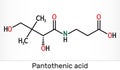 Pantothenic acid  vitamin B5, pantothenate  . Structural chemical formula and molecule model Royalty Free Stock Photo