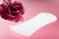 Panty Liner Royalty Free Stock Photo