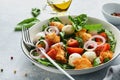 Panzanella, Italian Bread Salad. Traditional food of Italy with tomatoes, mozzarella balls, basil, onion and bread on light grey