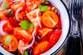 Panzanella: Italian salad with tomatoes, ciabatta bread, olives, red onion and basil closeup