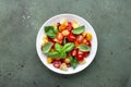 Panzanella summer vegetable salad with stale bread, colorful tomatoes, olive oil, salt and green basil, green table background,