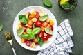 Panzanella summer vegetable salad with stale bread, colorful tomatoes, olive oil, salt and green basil, green table background,