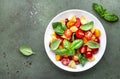 Panzanella summer vegetable salad with stale bread, colorful tomatoes, olive oil, salt and green basil, green table background,