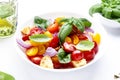 Panzanella summer vegetable salad with stale bread, colorful tomatoes, red onion, olive oil, salt and green basil, white table