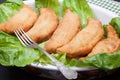 Panzerotti Royalty Free Stock Photo