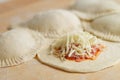 Panzerotti Royalty Free Stock Photo