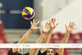 PAOK ARIS GREEK VOLLEY LEAGUE Royalty Free Stock Photo