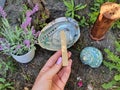 Paolo Santo Shell Garden Lavender Incense Burner Hand Royalty Free Stock Photo