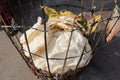 Papadums in Basket Royalty Free Stock Photo