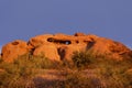 Papago Park known as the hole in the rock, Phoenix,AZ Royalty Free Stock Photo