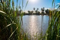 Papago Park Pond