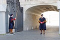 Papal swiss guard