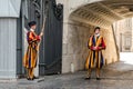 Papal Swiss Guards