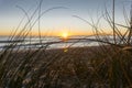 Papamoa beach through dune vegetation at sunrise Royalty Free Stock Photo