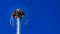 Papantla Flyers or flying pole before jumping with a wonderful blue sky