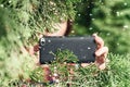 A paparazzi girl hand with a black mobile phone camera taking picture hiding through green fir tree branches at winter snowfall.