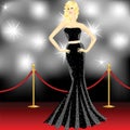 Paparazzi on the red carpet Royalty Free Stock Photo
