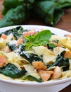 Papardelle with the chicken and with the spinach Royalty Free Stock Photo
