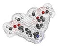 Papaverine opium alkaloid molecule. Used as antispasmodic drug. 3D rendering. Atoms are represented as spheres with conventional Royalty Free Stock Photo