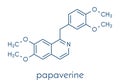 Papaverine opium alkaloid molecule. Used as antispasmodic drug. Skeletal formula. Royalty Free Stock Photo