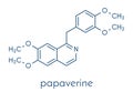 Papaverine opium alkaloid molecule. Used as antispasmodic drug. Skeletal formula.