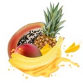 Papaya, banana, pineapple, mango juice splash realistic 3d vector Royalty Free Stock Photo