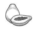 Papaya - black and white illustration of thin lines. papaya - a stylized drawing of fruit in a flat style. healthy eating. concept