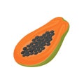 Papaya cartoon vector illustration