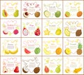 Papaya and Citron Kiwano Set Vector Illustration Royalty Free Stock Photo