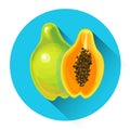 Papaya Colorful Fruit Icon