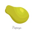 Papaya Exotic Fruit Vector Isolated. Papaw Pawpaw