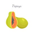 Papaya Exotic Fruit Vector Isolated. Papaw Pawpaw
