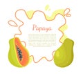Papaya Exotic Fruit Vector Isolated Papaw Poster