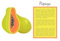 Papaya Exotic Fruit Vector Poster. Papaw Pawpaw