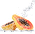 Papaya falling in water Royalty Free Stock Photo