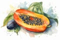 Papaya food watercolor. Generate Ai Royalty Free Stock Photo