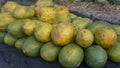 Papaya fruit arranged neatly, sold in traditional markets. Royalty Free Stock Photo