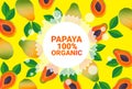 Papaya fruit colorful circle copy space organic over fresh fruits pattern background healthy lifestyle or diet concept