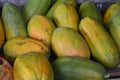 papaya is a fruit that is found in many parts of Indonesia