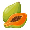 Papaya fruit icon, tasty fresh tropical dessert