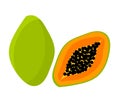 Papaya fruit icon