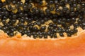 Papaya fruit macro