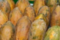 Papaya fruit in supermarket - Scientific name: Carica papaya