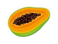 Half cut fresh raw papaya fruit vector illustration. Royalty Free Stock Photo